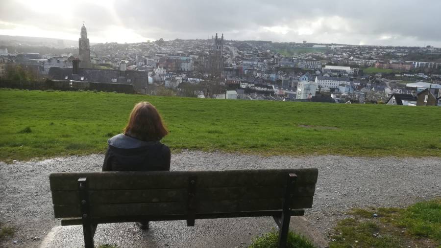 bench in Bell's Park